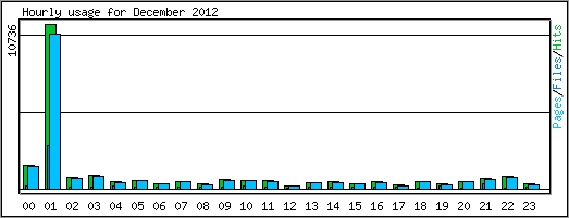Hourly usage