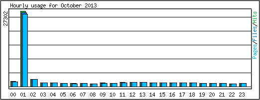 Hourly usage