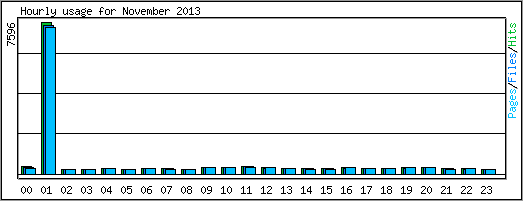 Hourly usage