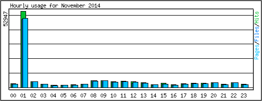 Hourly usage
