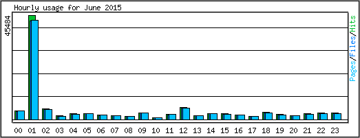 Hourly usage