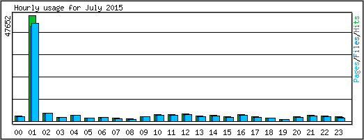 Hourly usage