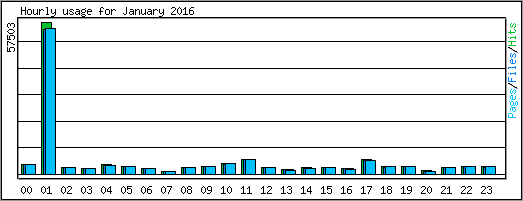 Hourly usage