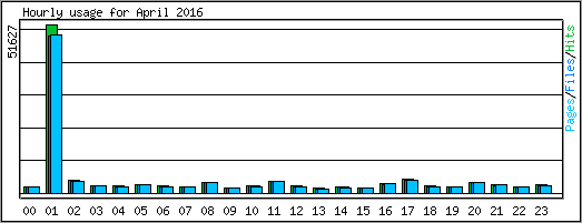 Hourly usage