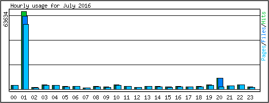 Hourly usage