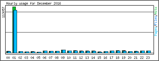 Hourly usage