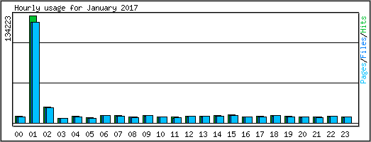 Hourly usage