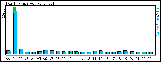Hourly usage