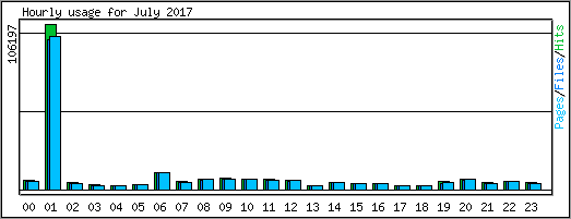 Hourly usage