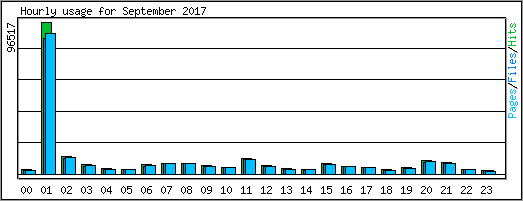 Hourly usage