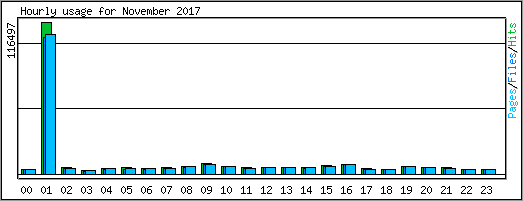 Hourly usage