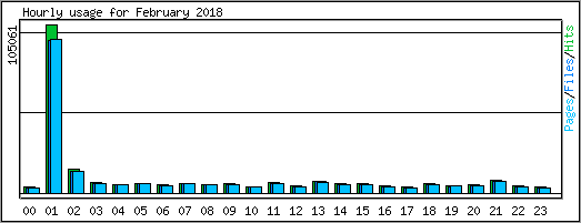 Hourly usage