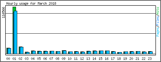 Hourly usage