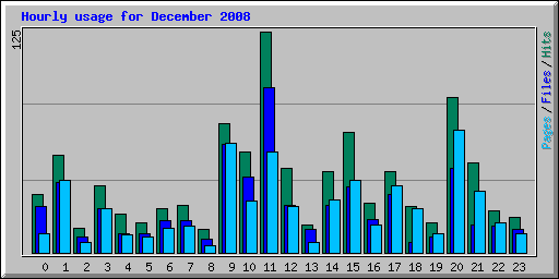 Hourly usage for December 2008