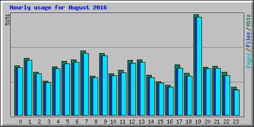 Hourly usage for August 2016