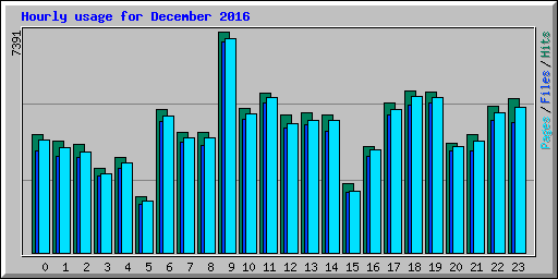 Hourly usage for December 2016