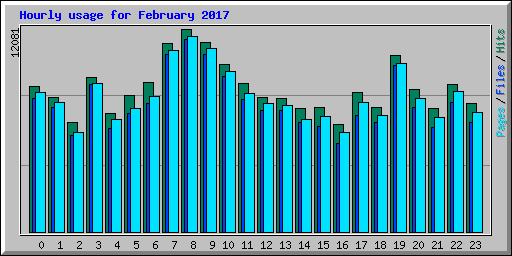 Hourly usage for February 2017