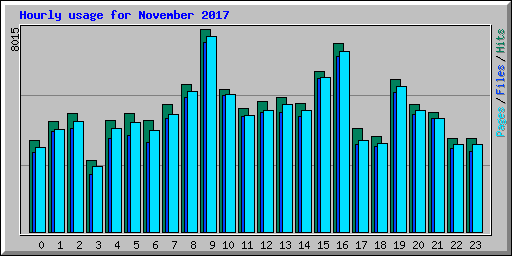 Hourly usage for November 2017